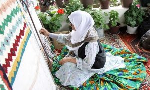 کسب و کار در نمین
