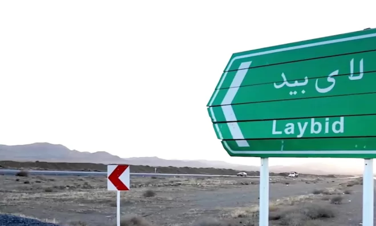 کسب و کار در لای بید