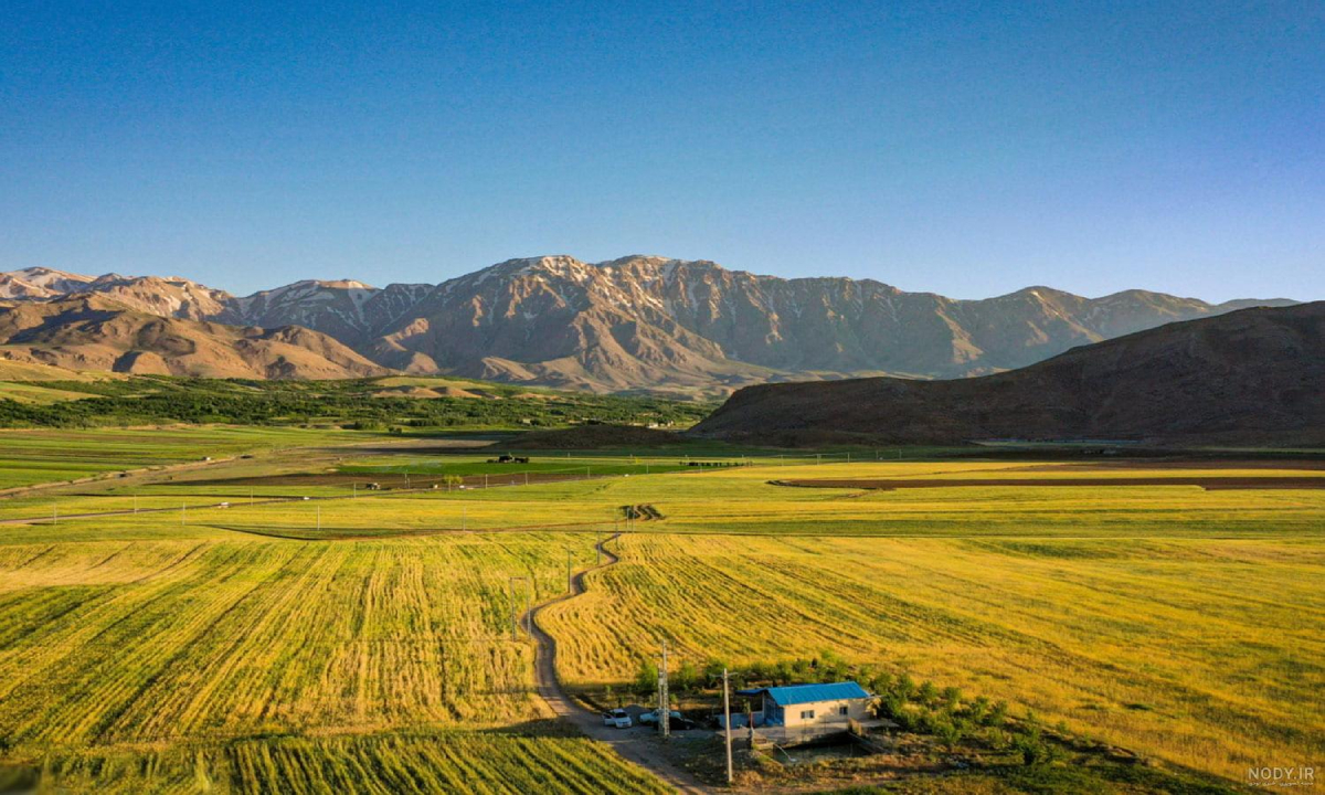 کسب و کار در بروجن