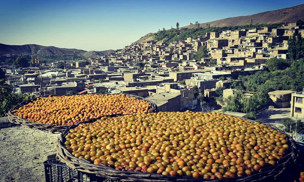 کسب و کار در خرو