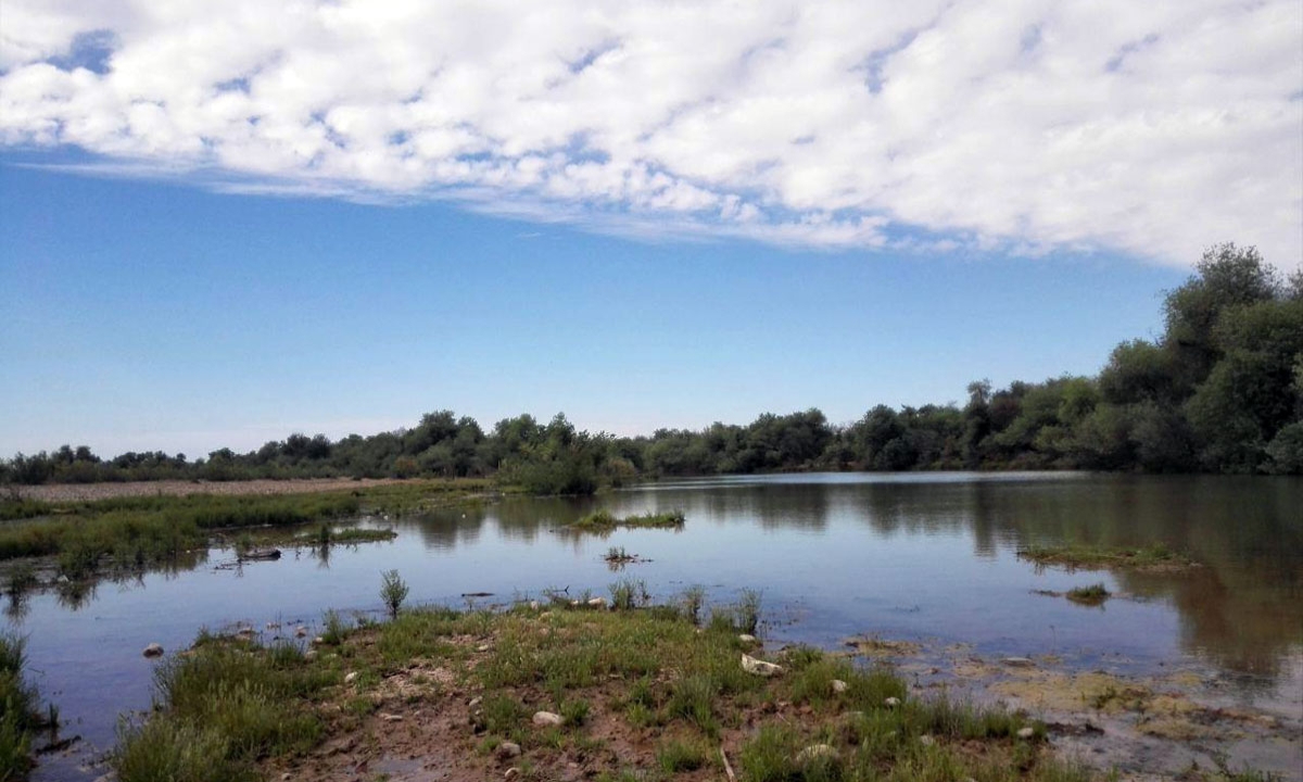 کسب و کار در میانرود