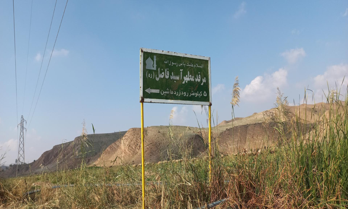 کسب و کار در میداوود