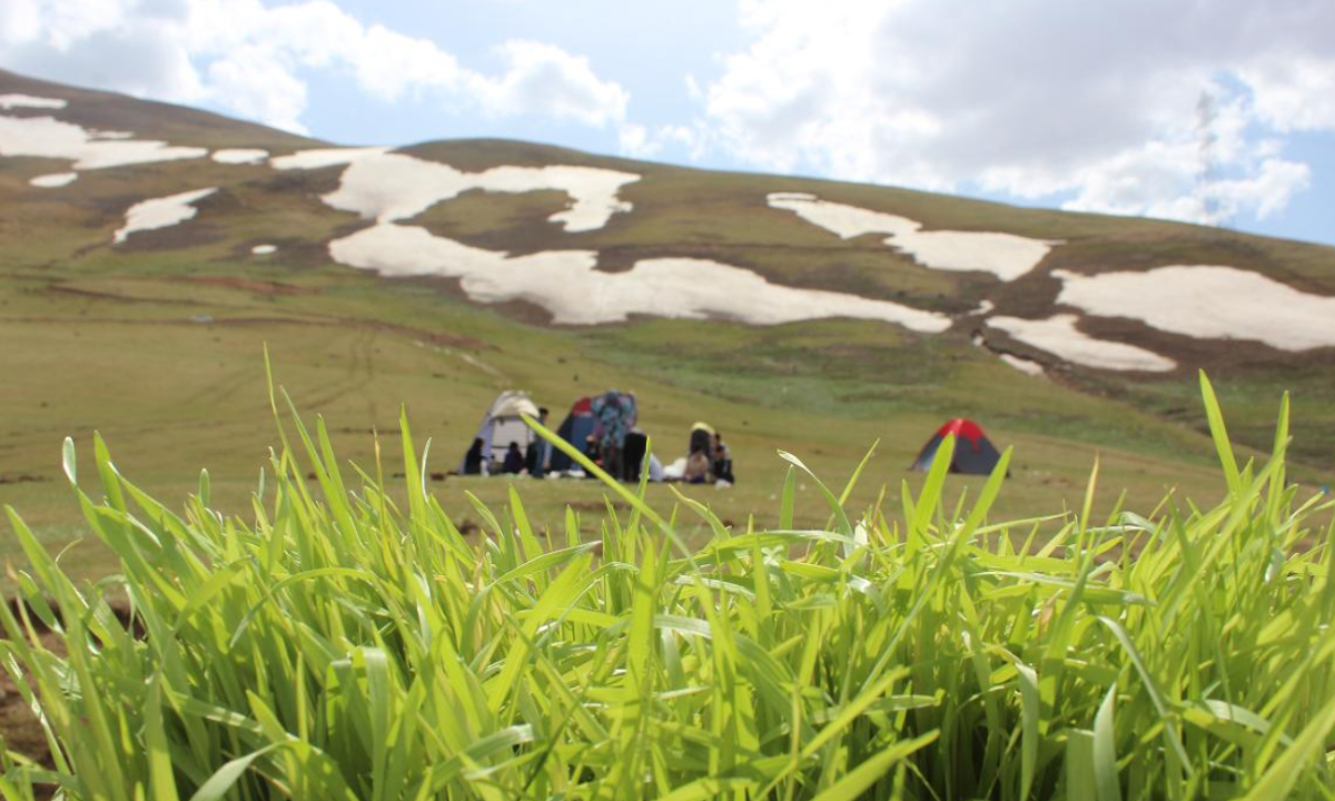 کسب و کار در ارمغانخانه
