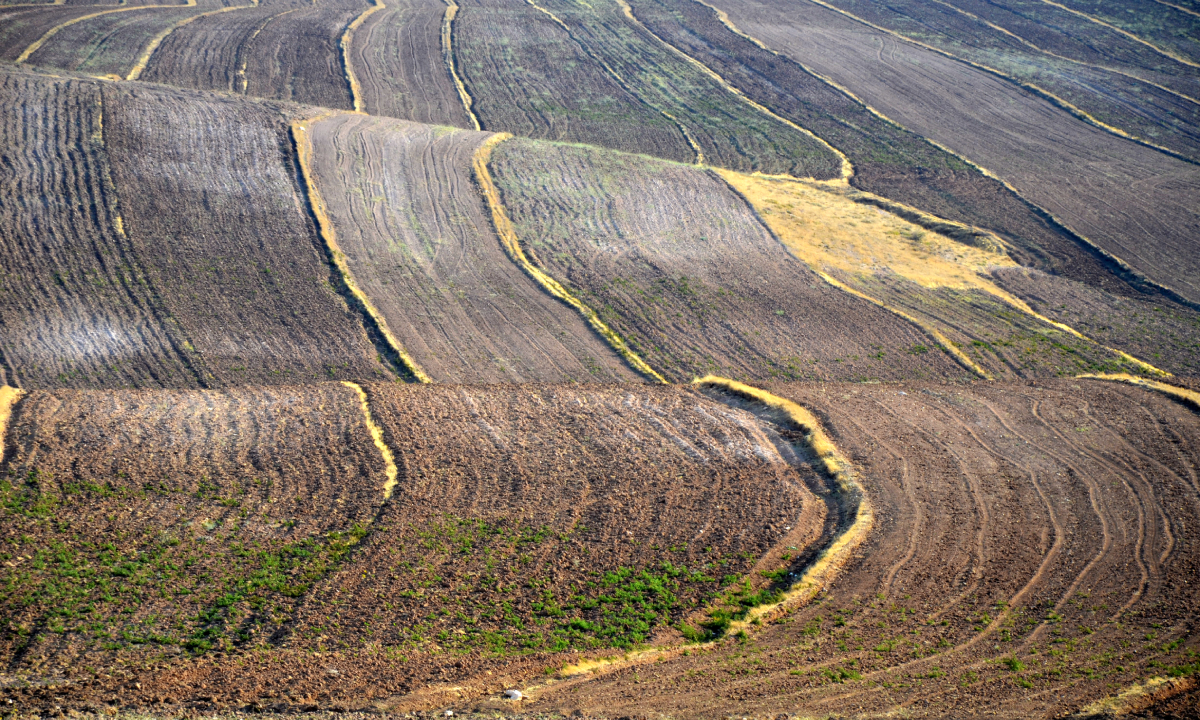 کسب و کار در کوهین