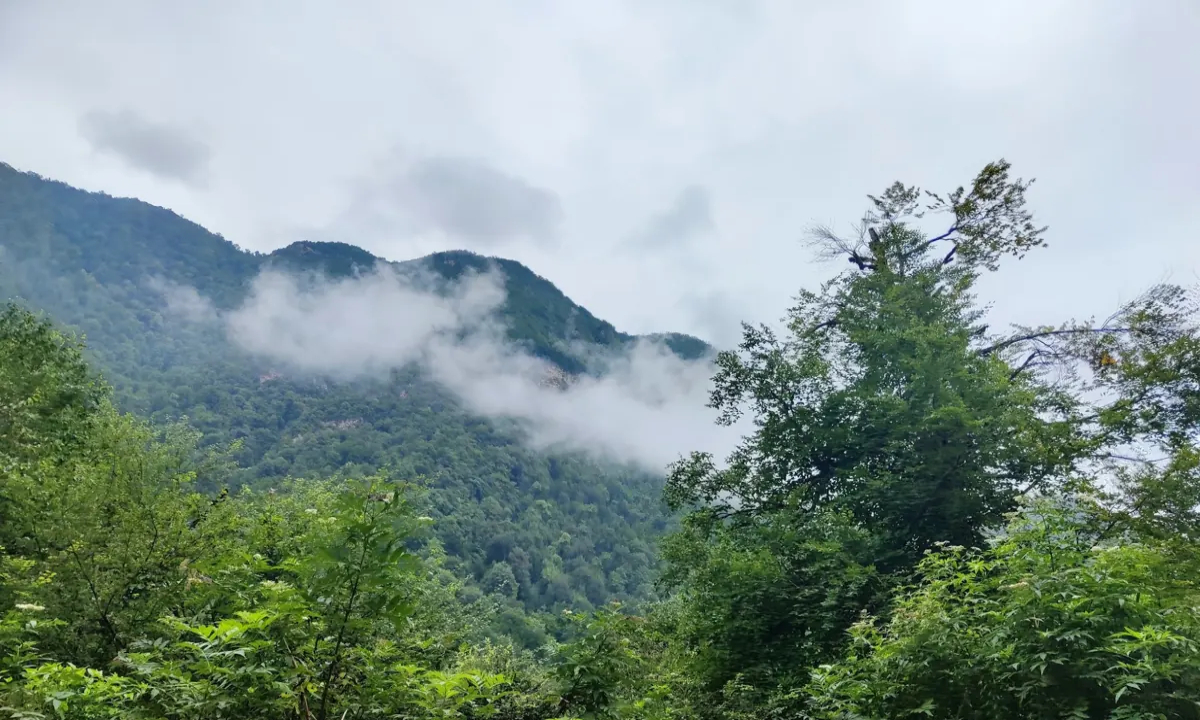 کسب و کار در چمستان