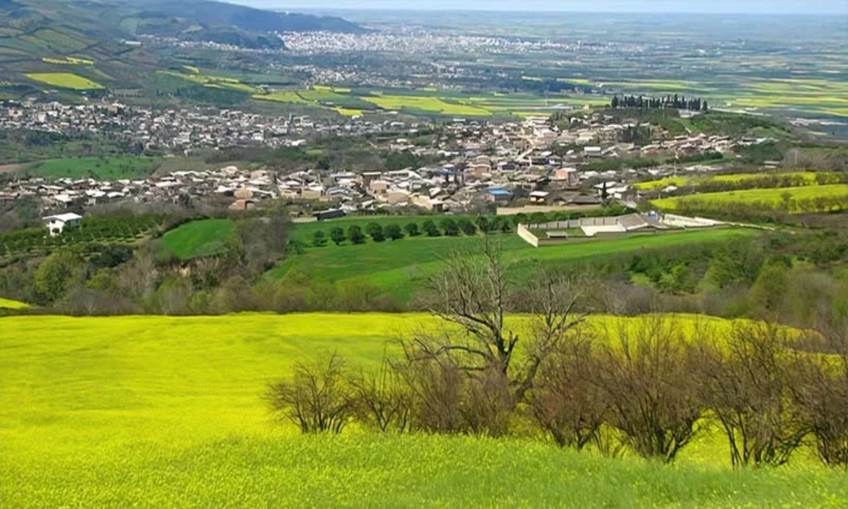 کسب و کار در خلیل شهر